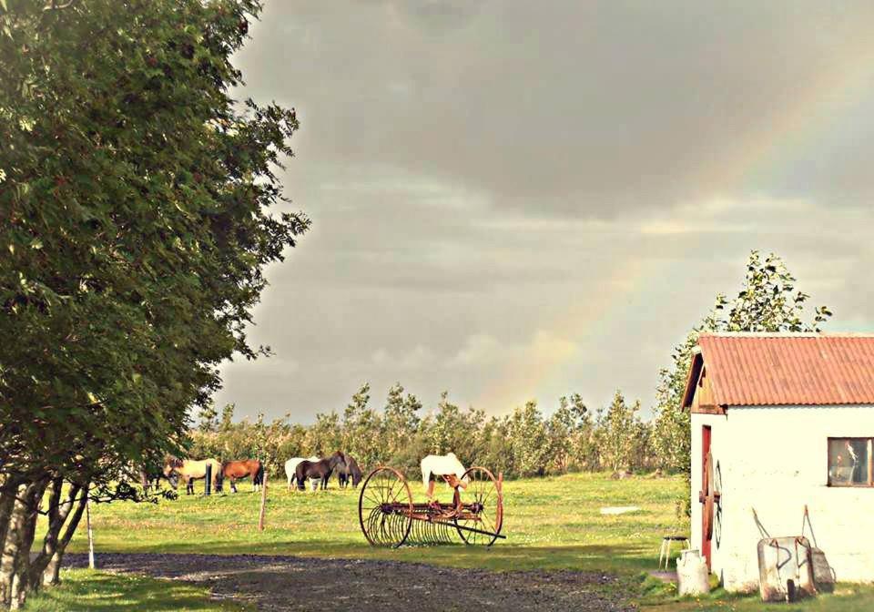 Rauthuskrithur Farm Holmabaeir Екстериор снимка